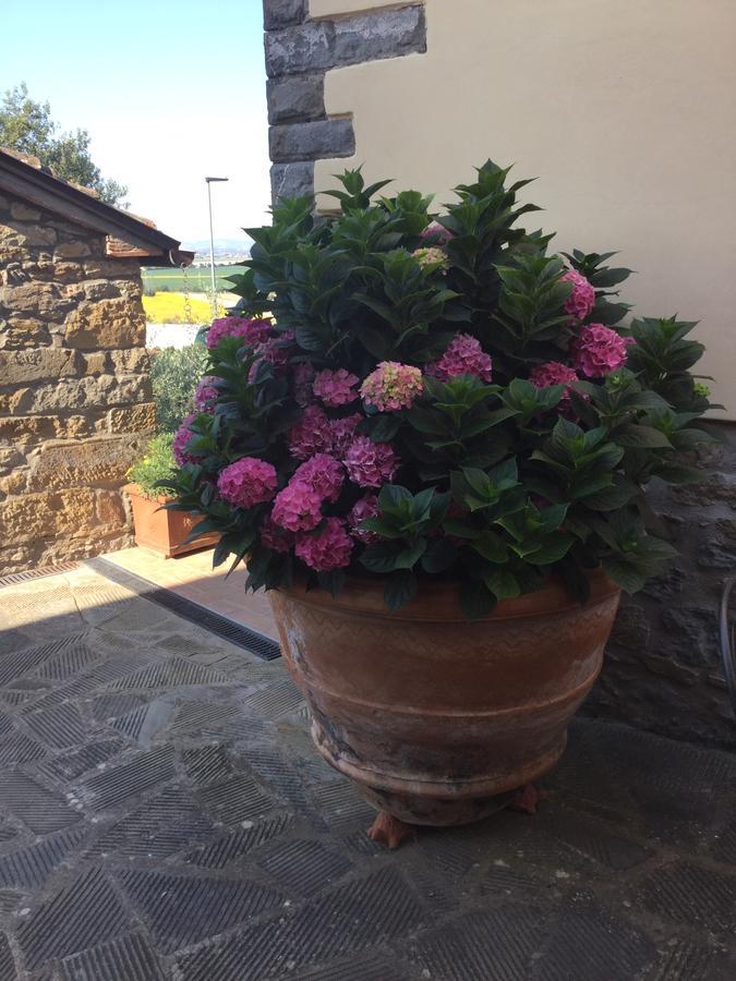 Agriturismo Borgo Tra Gli Olivi Castiglion Fiorentino Eksteriør billede
