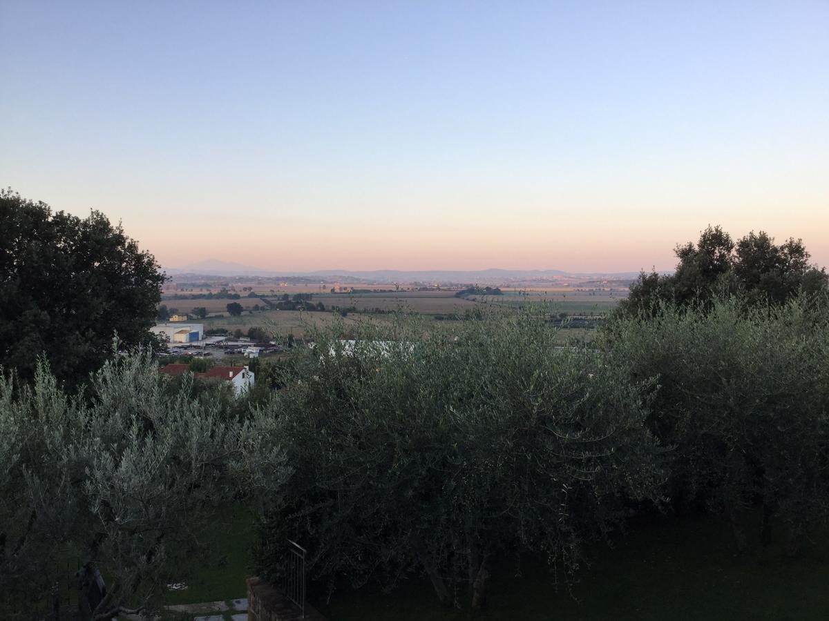 Agriturismo Borgo Tra Gli Olivi Castiglion Fiorentino Eksteriør billede