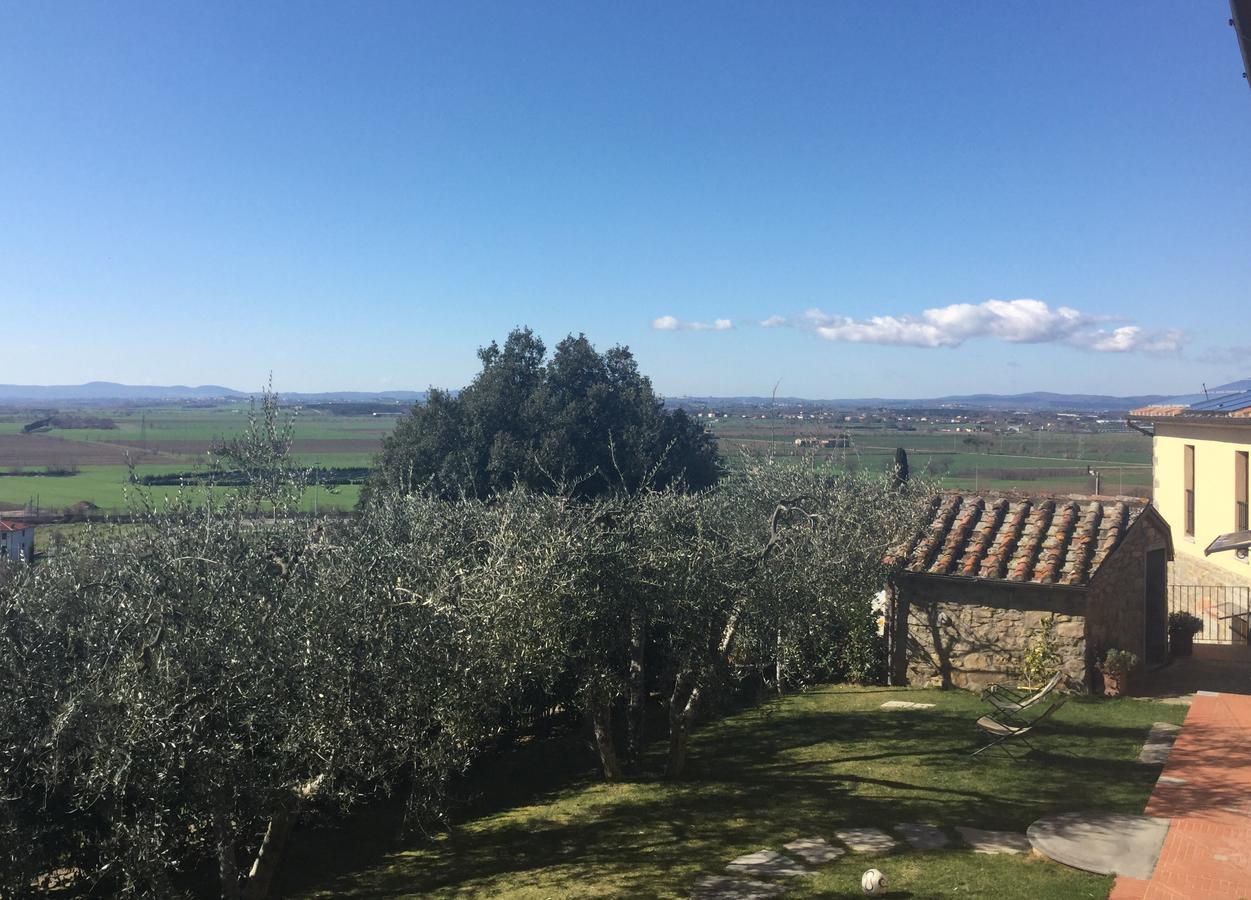Agriturismo Borgo Tra Gli Olivi Castiglion Fiorentino Eksteriør billede